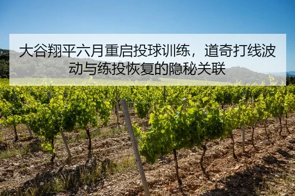 大谷翔平六月重启投球训练，道奇打线波动与练投恢复的隐秘关联（Leyu）